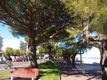 17 дней. Германия, Нидерланды, Бельгия, Франция, Италия, Австрия.