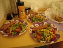 17 дней. Германия, Нидерланды, Бельгия, Франция, Италия, Австрия.