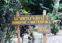 Phuket, Khao Lak, Phang Nga, Krabi *** 15 пляжей *** 5 заправок *** 2012 новый год. Дача.