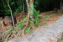 Phuket, Khao Lak, Phang Nga, Krabi *** 15 пляжей *** 5 заправок *** 2012 новый год. Дача.