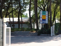 17 дней. Германия, Нидерланды, Бельгия, Франция, Италия, Австрия.