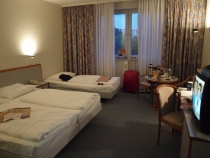 17 дней. Германия, Нидерланды, Бельгия, Франция, Италия, Австрия.