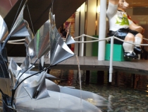 17 дней. Германия, Нидерланды, Бельгия, Франция, Италия, Австрия.