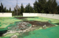 Phuket, Khao Lak, Phang Nga, Krabi *** 15 пляжей *** 5 заправок *** 2012 новый год. Дача.