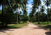 Phuket, Khao Lak, Phang Nga, Krabi *** 15 пляжей *** 5 заправок *** 2012 новый год. Дача.