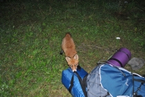 Солнечная Норвегия (август 2010, фотоотчет)