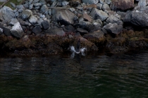 Солнечная Норвегия (август 2010, фотоотчет)