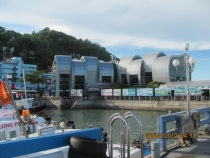 Хошимин-Вунг-Тау – Хошимин. Ляльке 1 год и 3 месяца.