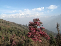 Непал - горы, дворцы и вечные города. Весна 2012