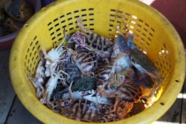 Путешествие в Тай. Впервые. Самостоятельно. Февраль 2012.