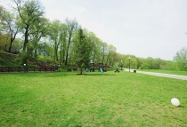 Выходные в Царьграде.  На безрыбье и рак акула.