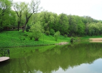 Выходные в Царьграде.  На безрыбье и рак акула.