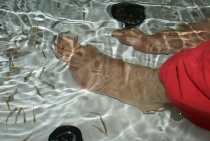 Bangkok, Phukhet, Phi Phi, Krabi, ноябрь-декабрь 2011