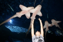 Bangkok, Phukhet, Phi Phi, Krabi, ноябрь-декабрь 2011