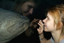 Bangkok, Phukhet, Phi Phi, Krabi, ноябрь-декабрь 2011