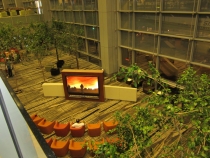 Бали и Гили в марте 2012 – 11 дней. Маршрут, цены, впечатления