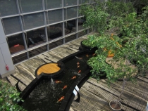 Бали и Гили в марте 2012 – 11 дней. Маршрут, цены, впечатления