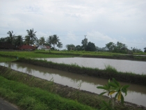 Бали и Гили в марте 2012 – 11 дней. Маршрут, цены, впечатления