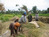 Бали и Гили в марте 2012 – 11 дней. Маршрут, цены, впечатления