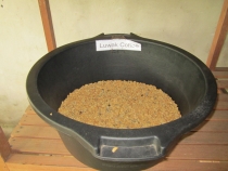 Бали и Гили в марте 2012 – 11 дней. Маршрут, цены, впечатления