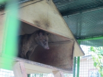 Бали и Гили в марте 2012 – 11 дней. Маршрут, цены, впечатления