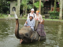 Бали и Гили в марте 2012 – 11 дней. Маршрут, цены, впечатления