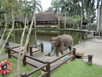 Бали и Гили в марте 2012 – 11 дней. Маршрут, цены, впечатления