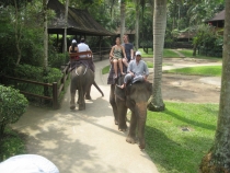 Бали и Гили в марте 2012 – 11 дней. Маршрут, цены, впечатления