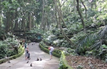 Бали и Гили в марте 2012 – 11 дней. Маршрут, цены, впечатления