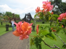 Бали и Гили в марте 2012 – 11 дней. Маршрут, цены, впечатления