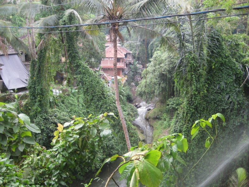 Бали и Гили в марте 2012 – 11 дней. Маршрут, цены, впечатления