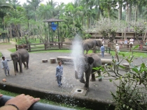 Бали и Гили в марте 2012 – 11 дней. Маршрут, цены, впечатления