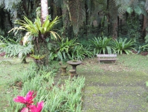 Бали и Гили в марте 2012 – 11 дней. Маршрут, цены, впечатления