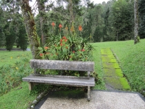 Бали и Гили в марте 2012 – 11 дней. Маршрут, цены, впечатления