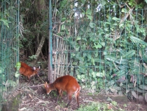 Бали и Гили в марте 2012 – 11 дней. Маршрут, цены, впечатления