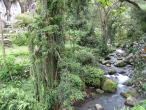 Бали и Гили в марте 2012 – 11 дней. Маршрут, цены, впечатления