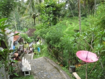 Бали и Гили в марте 2012 – 11 дней. Маршрут, цены, впечатления