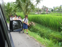 Бали и Гили в марте 2012 – 11 дней. Маршрут, цены, впечатления