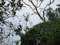 Бали и Гили в марте 2012 – 11 дней. Маршрут, цены, впечатления