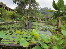 Бали и Гили в марте 2012 – 11 дней. Маршрут, цены, впечатления