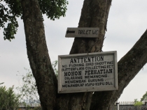 Бали и Гили в марте 2012 – 11 дней. Маршрут, цены, впечатления