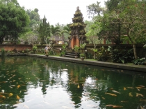 Бали и Гили в марте 2012 – 11 дней. Маршрут, цены, впечатления