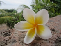 Бали и Гили в марте 2012 – 11 дней. Маршрут, цены, впечатления