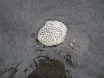 Бали и Гили в марте 2012 – 11 дней. Маршрут, цены, впечатления