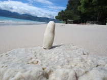 Бали и Гили в марте 2012 – 11 дней. Маршрут, цены, впечатления