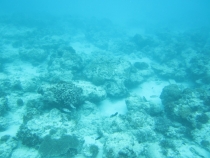 Бали и Гили в марте 2012 – 11 дней. Маршрут, цены, впечатления