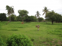 Бали и Гили в марте 2012 – 11 дней. Маршрут, цены, впечатления