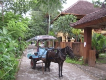 Бали и Гили в марте 2012 – 11 дней. Маршрут, цены, впечатления