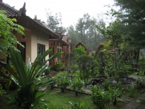 Бали и Гили в марте 2012 – 11 дней. Маршрут, цены, впечатления