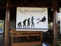 Бали и Гили в марте 2012 – 11 дней. Маршрут, цены, впечатления